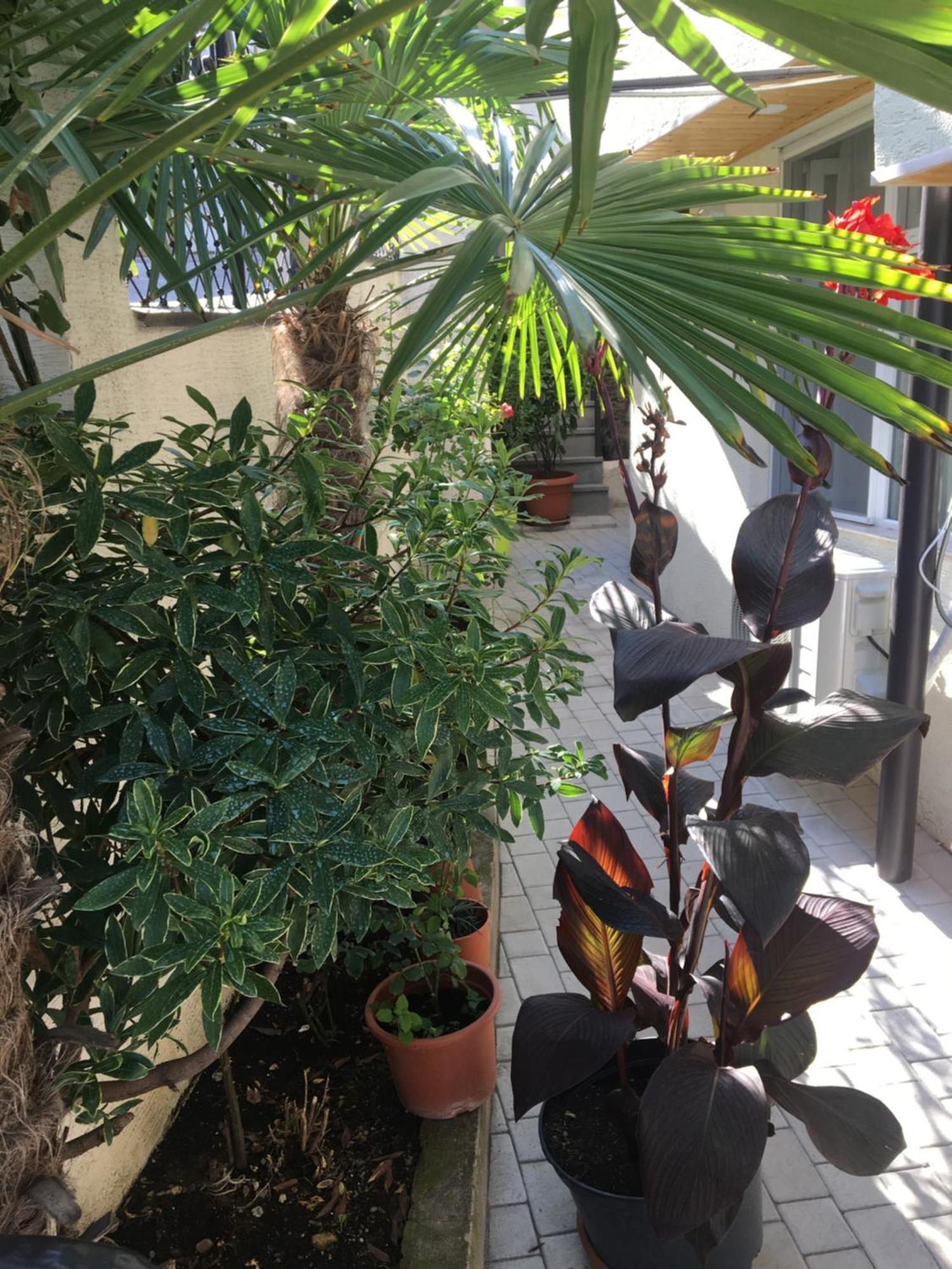 Apartament 10 Shindisi Street,Tbilisi Zewnętrze zdjęcie